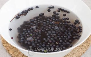 Blueberries in their own juice