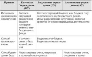 Instituições estaduais e municipais na Federação Russa: conceito, tipos, principais funções das instituições e instruções municipais estaduais