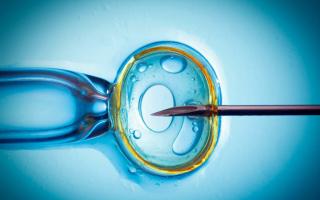 Kembar setelah IVF: semua pro dan kontra dari 