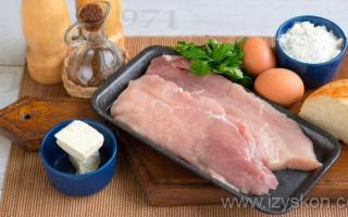 Schnitzel cooking recipes with photos