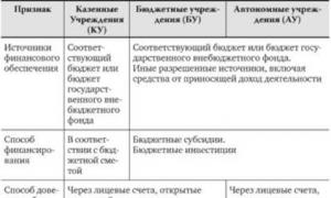 Institucionet shtetërore dhe komunale në Federatën Ruse: koncepti, llojet, funksionet kryesore të institucioneve komunale shtetërore dhe udhëzimet