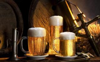 Strong beer: how many degrees in beer Types of intoxicating drinks